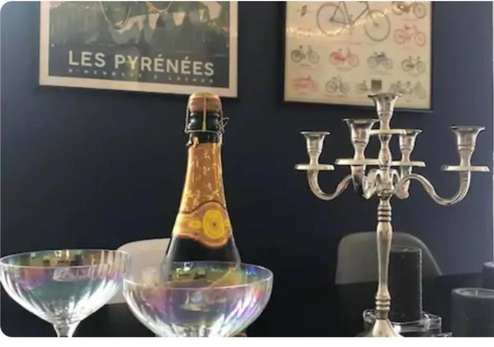 Private Garden Apartment In Ski Resort In Queen Of The Pyrennees With Wifi Ski Hike Cycle Spa Mountain Bagnères-de-Luchon